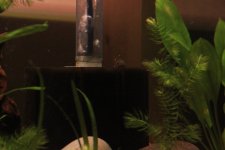 Throw away your HOB (Hang on the back filter)